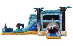 Shark Beach Combo